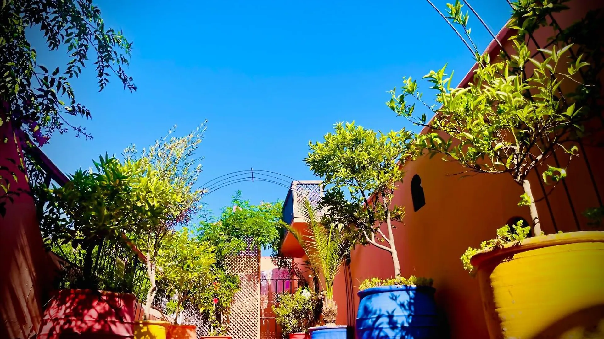 Riad Le Dromadaire Bleu By Weekome Marrakesh 0*,