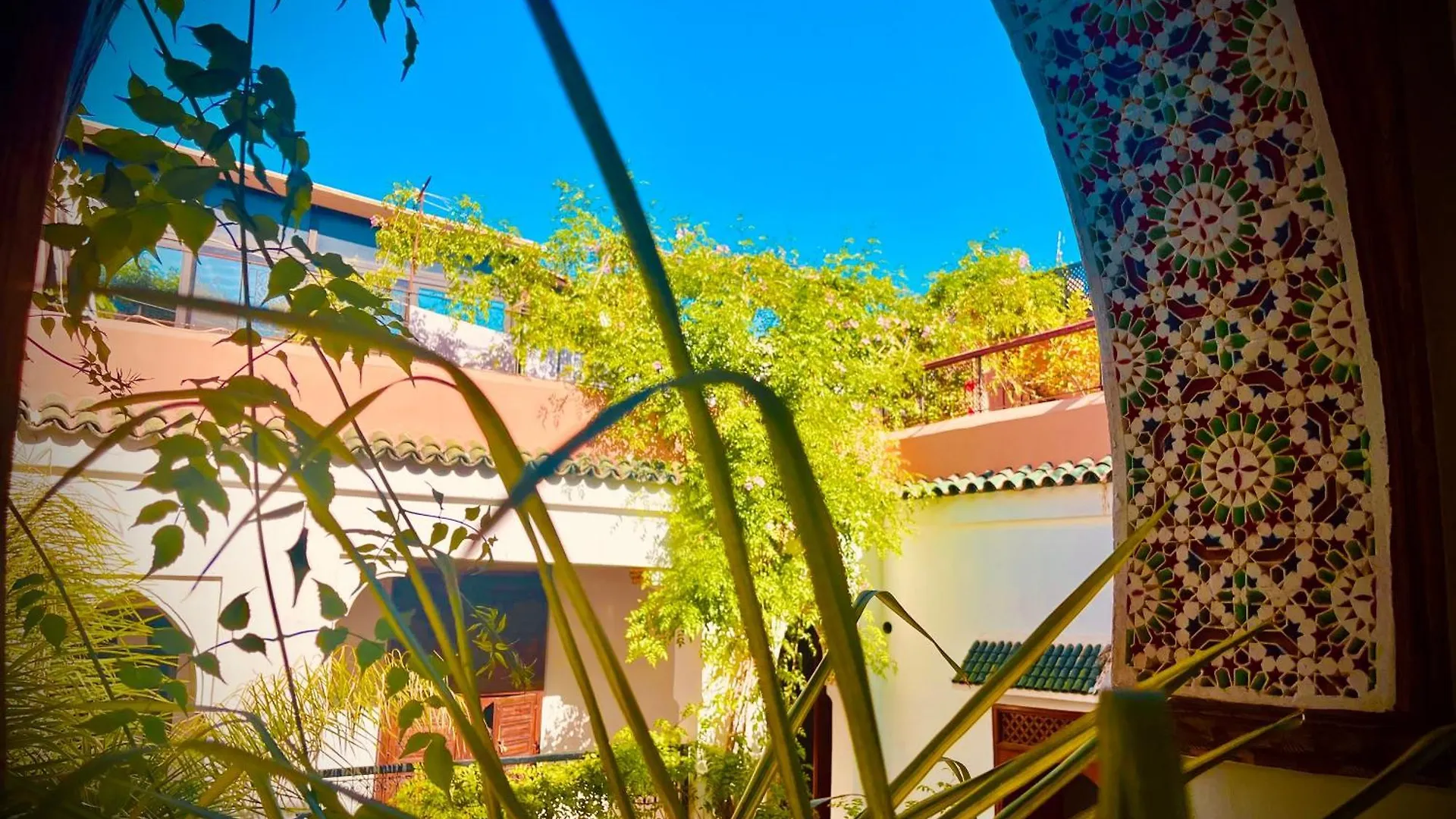 Riad Le Dromadaire Bleu By Weekome Marrakesh 0*,  Morocco